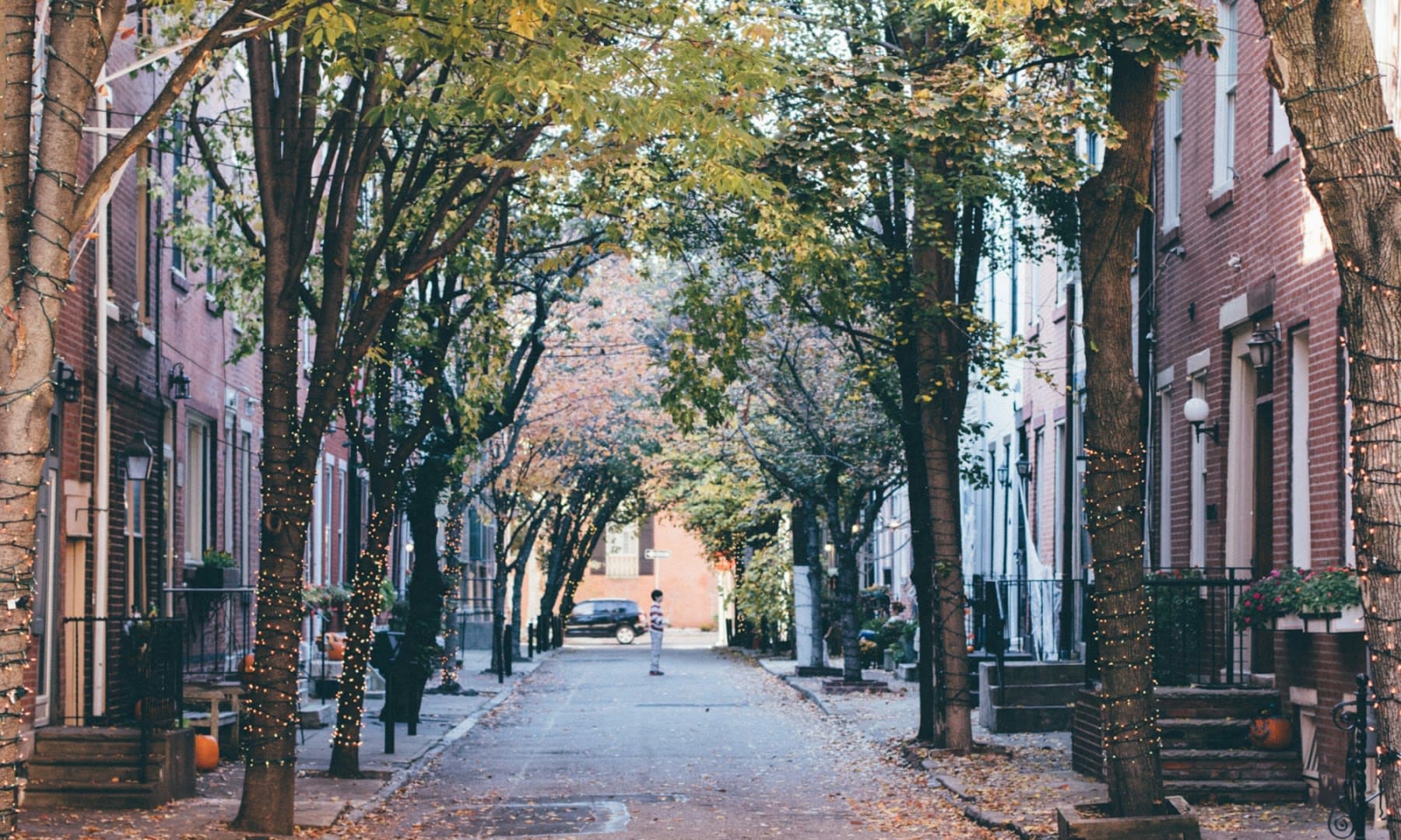 Tree-lined Philadelphia rowhome street