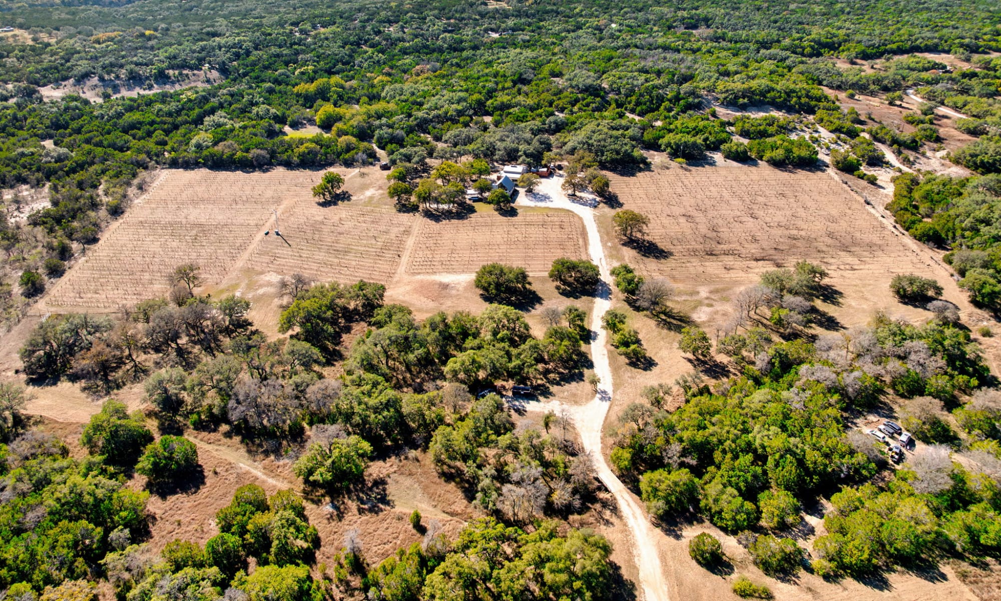 ±46 Acres • Turnkey Vineyard • Event Venue • Lodging