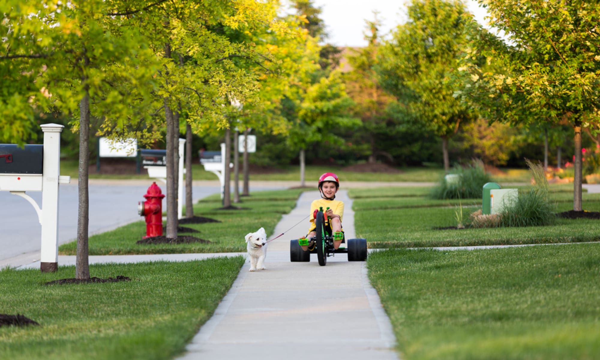 BROWSE BY NEIGHBORHOOD