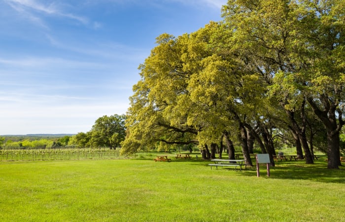 Wimberley