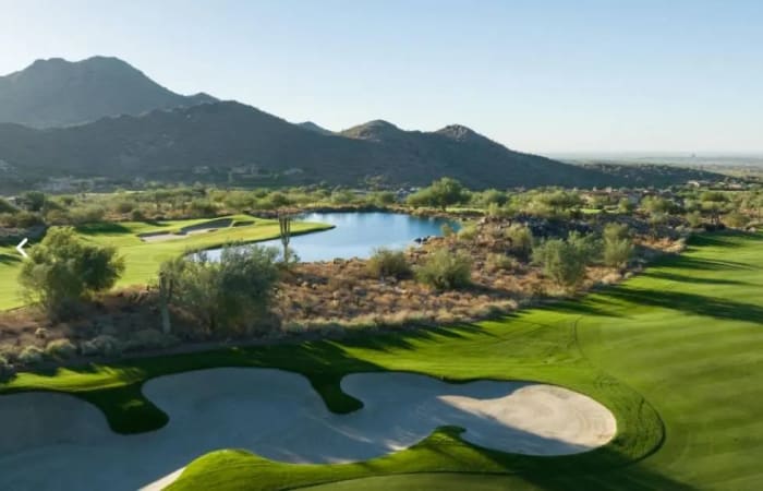 Silverleaf