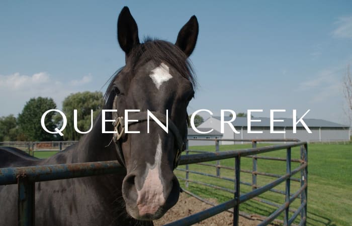 Queen Creek