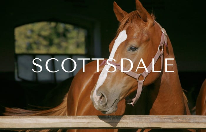 Scottsdale