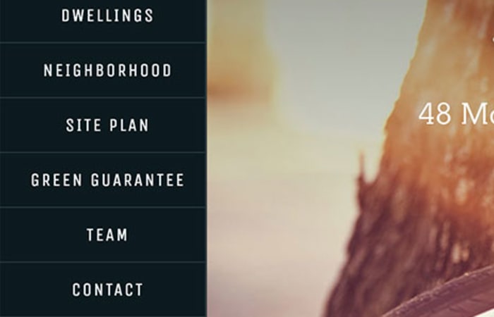 Project Websites
