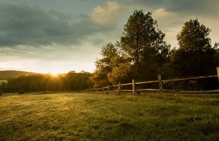 Easements