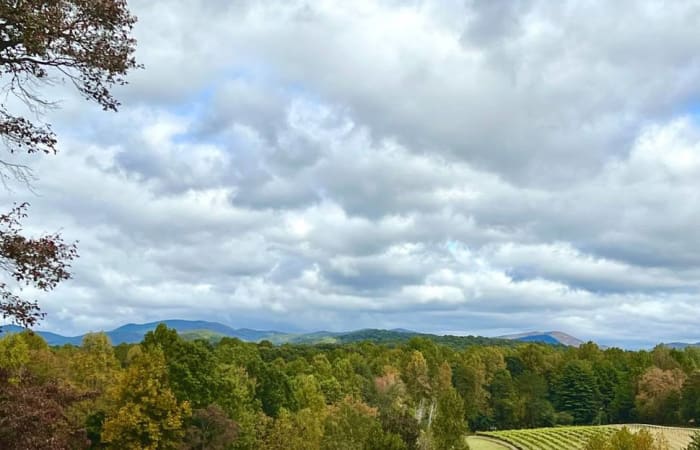 Dahlonega