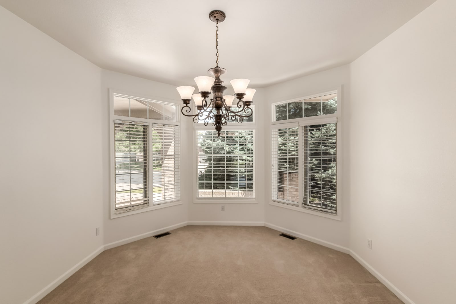 5322 Shetland Court, Highlands Ranch, CO 80130 photo 7
