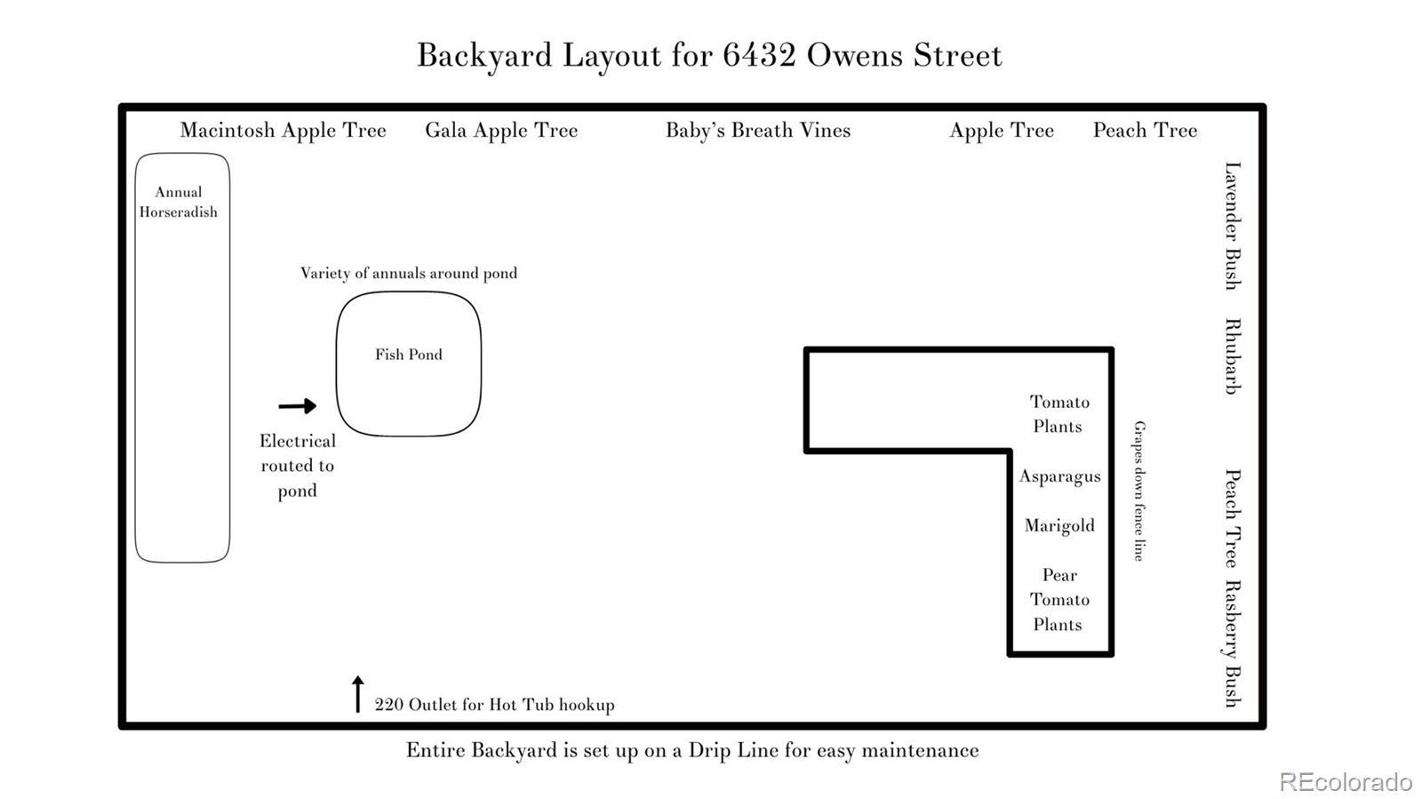 6432 Owens Street, Arvada, CO 80004 photo 25