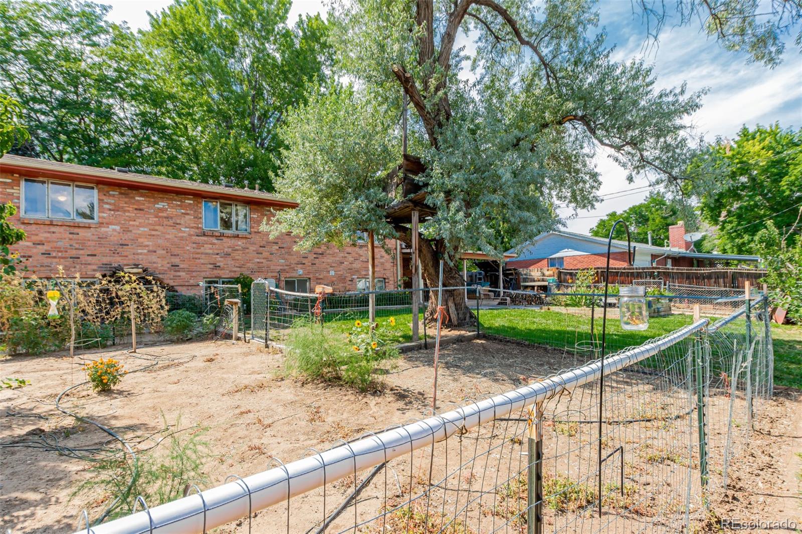 6432 Owens Street, Arvada, CO 80004 photo 23
