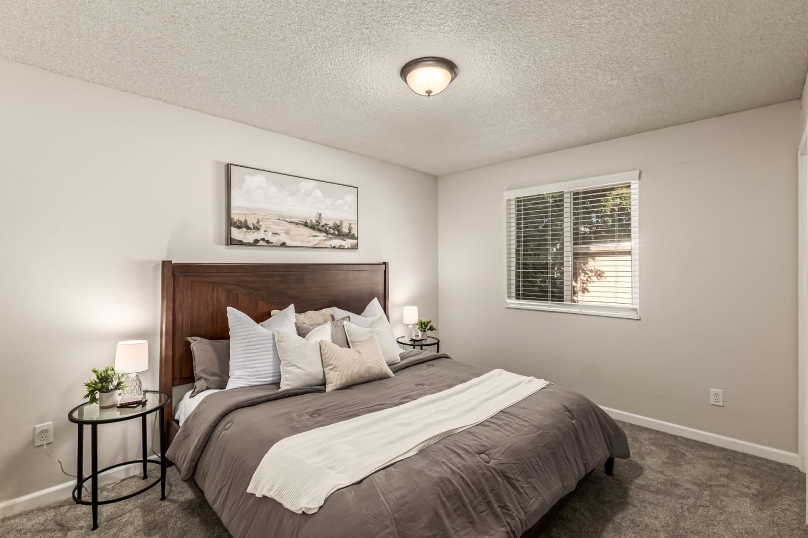 4784 S Tabor Street, Morrison, CO 80465 photo 8