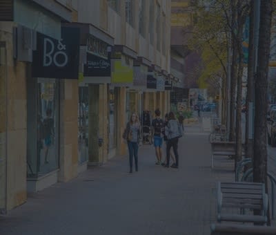 Meet the Team