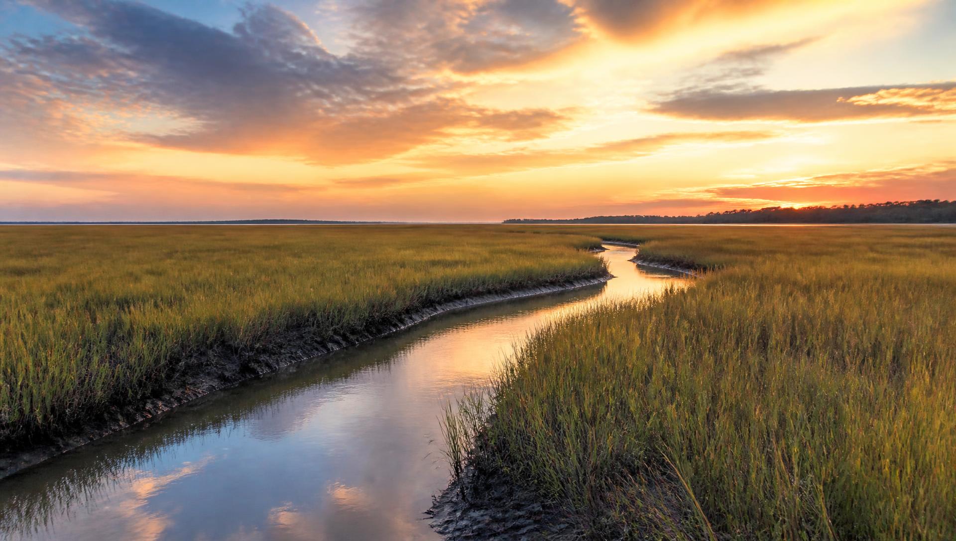 Sunset over the South Carolina countryside