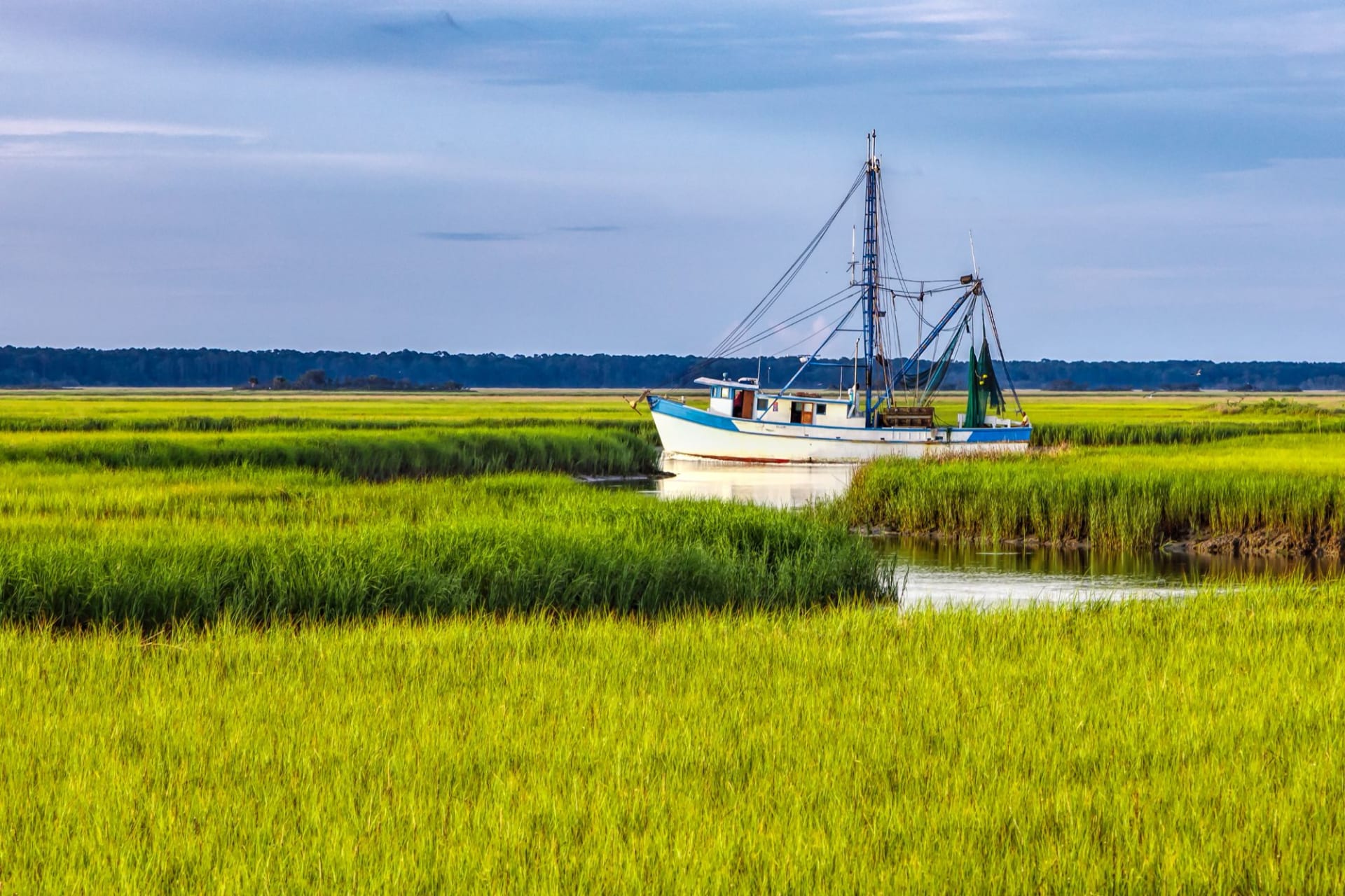 A boat in the salt marsh on the South Carolina coast