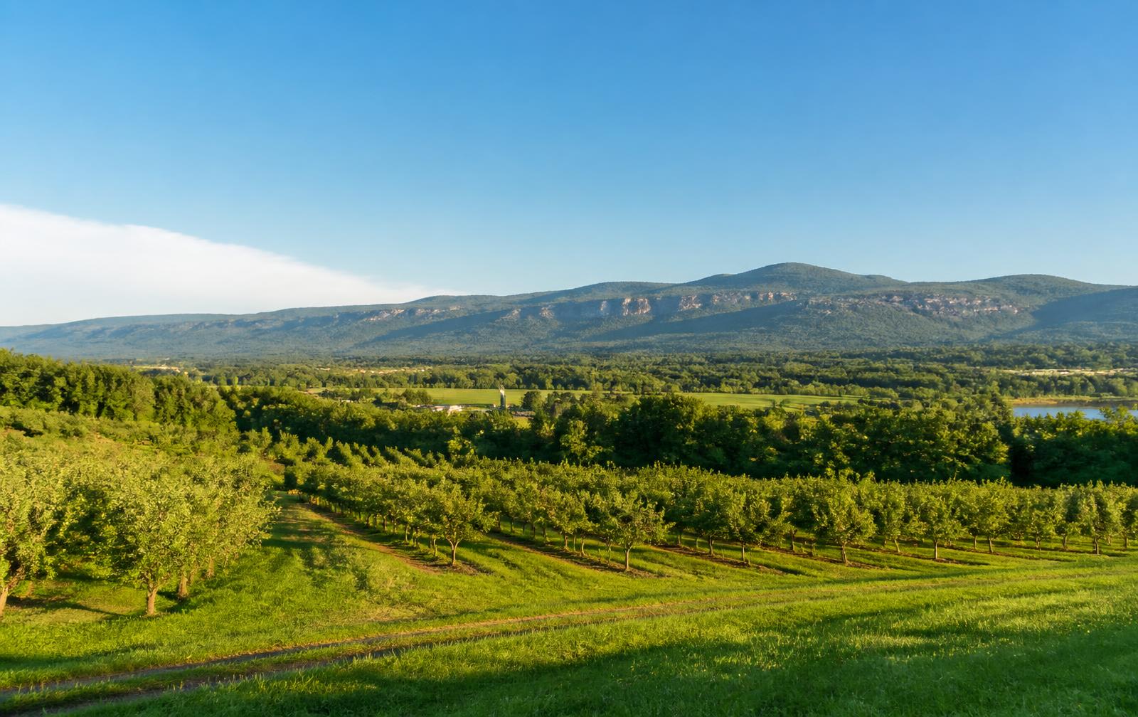 Orchards and farm fields below the ridge in Orange County, New York, on a clear morning