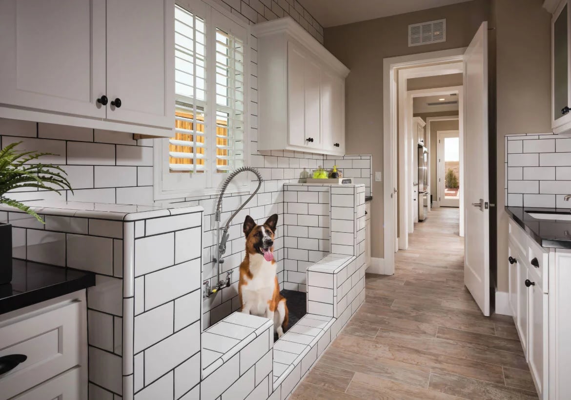 10 Home Design Features for Pets