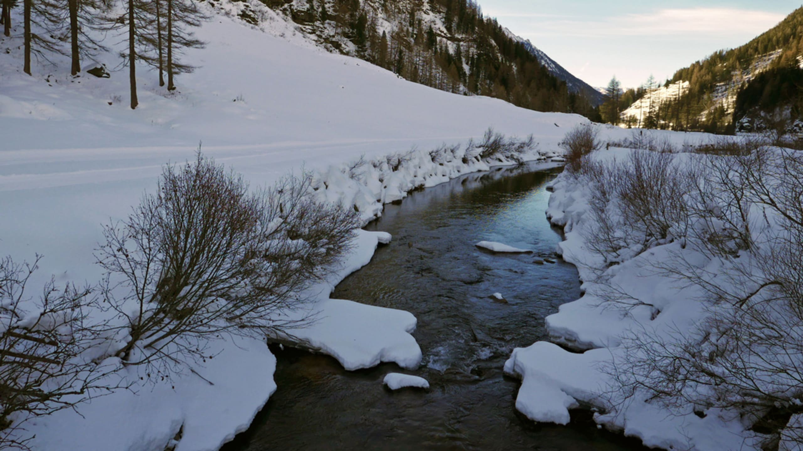 Bridger Canyon