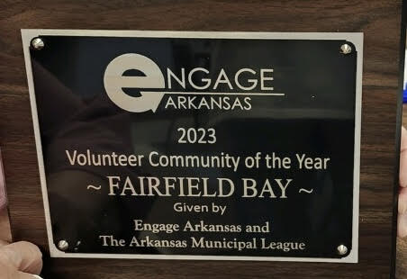 Volunteer of the Year