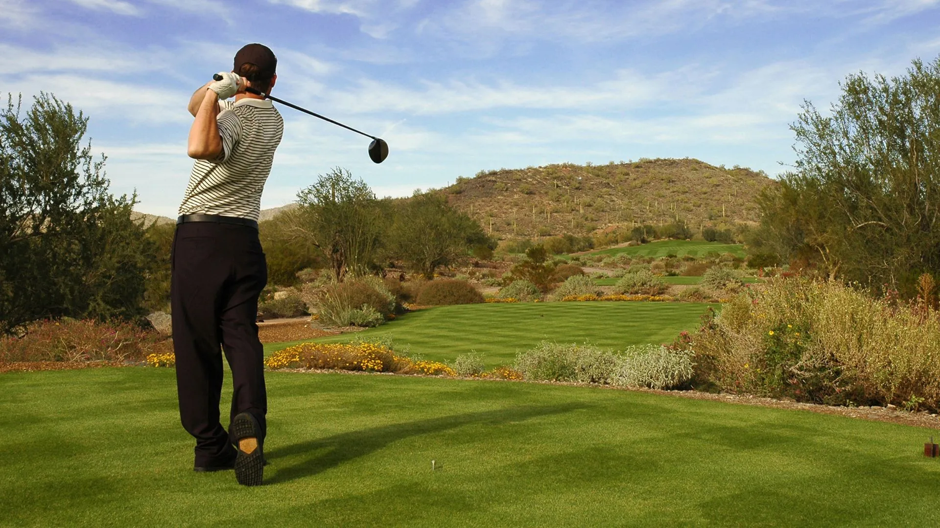 Desert golf course and homes in Scottsdale