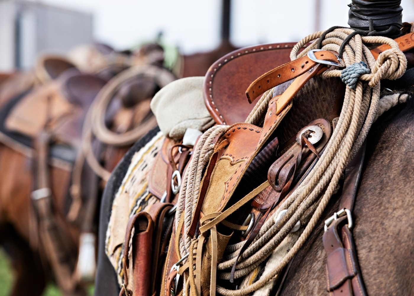 Arizona horse property buyer's guide