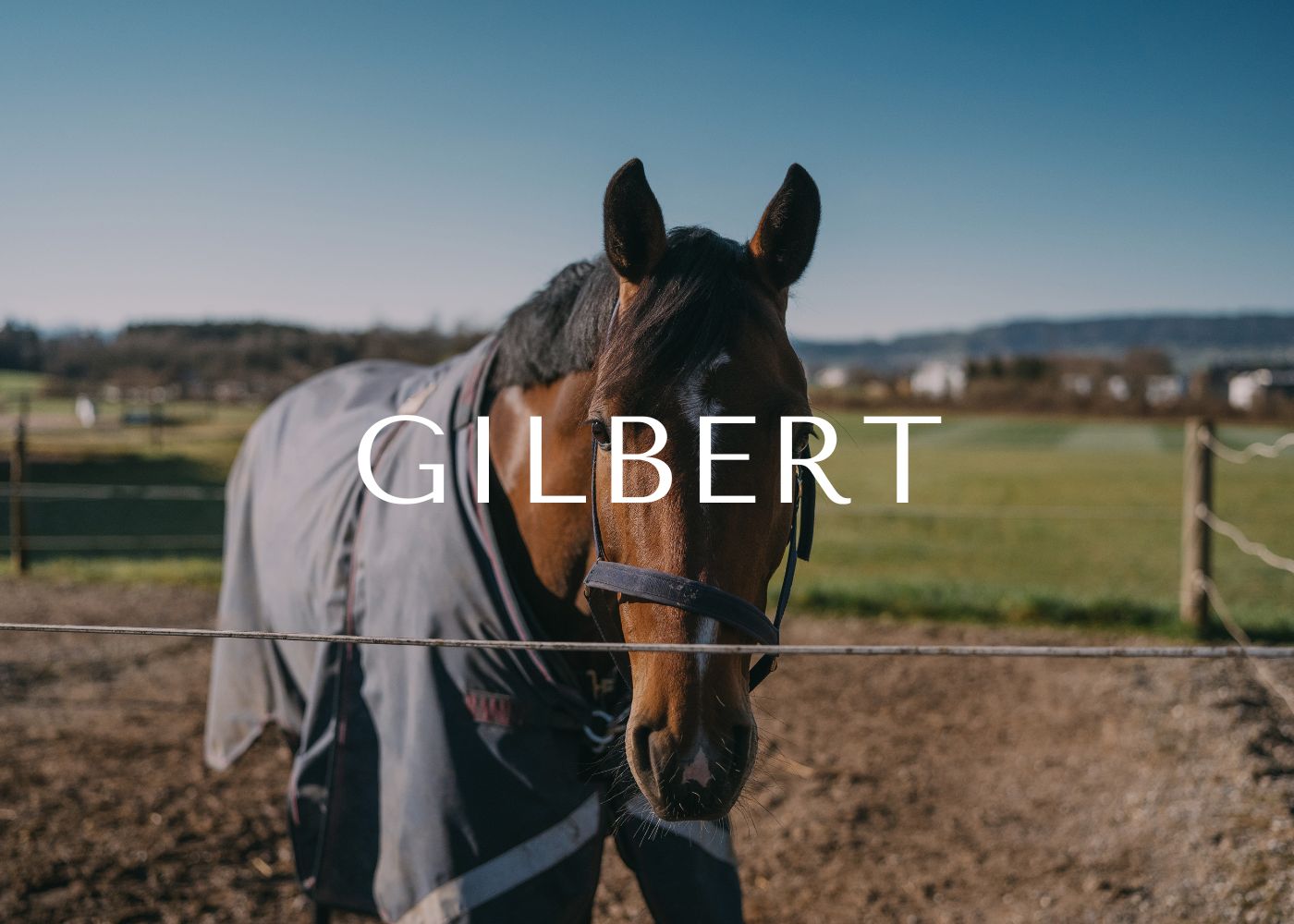 Gilbert golf community