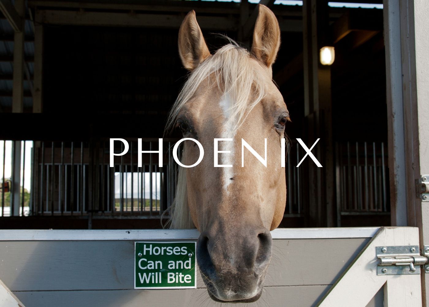 Phoenix golf community