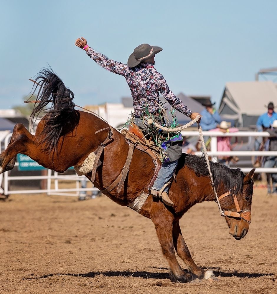 Rodeos, Horse Shows & Equestrian Events