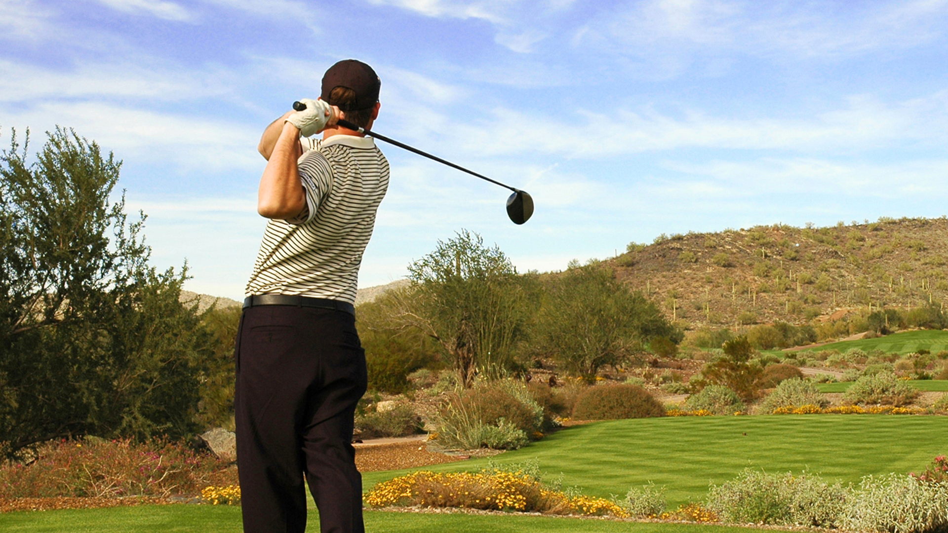 The Scottsdale Golf Community Guide