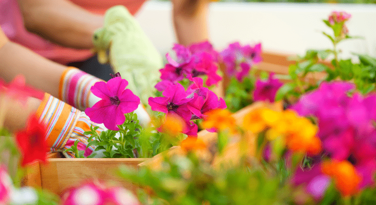 4 Things To Expect From The Spring Housing Market