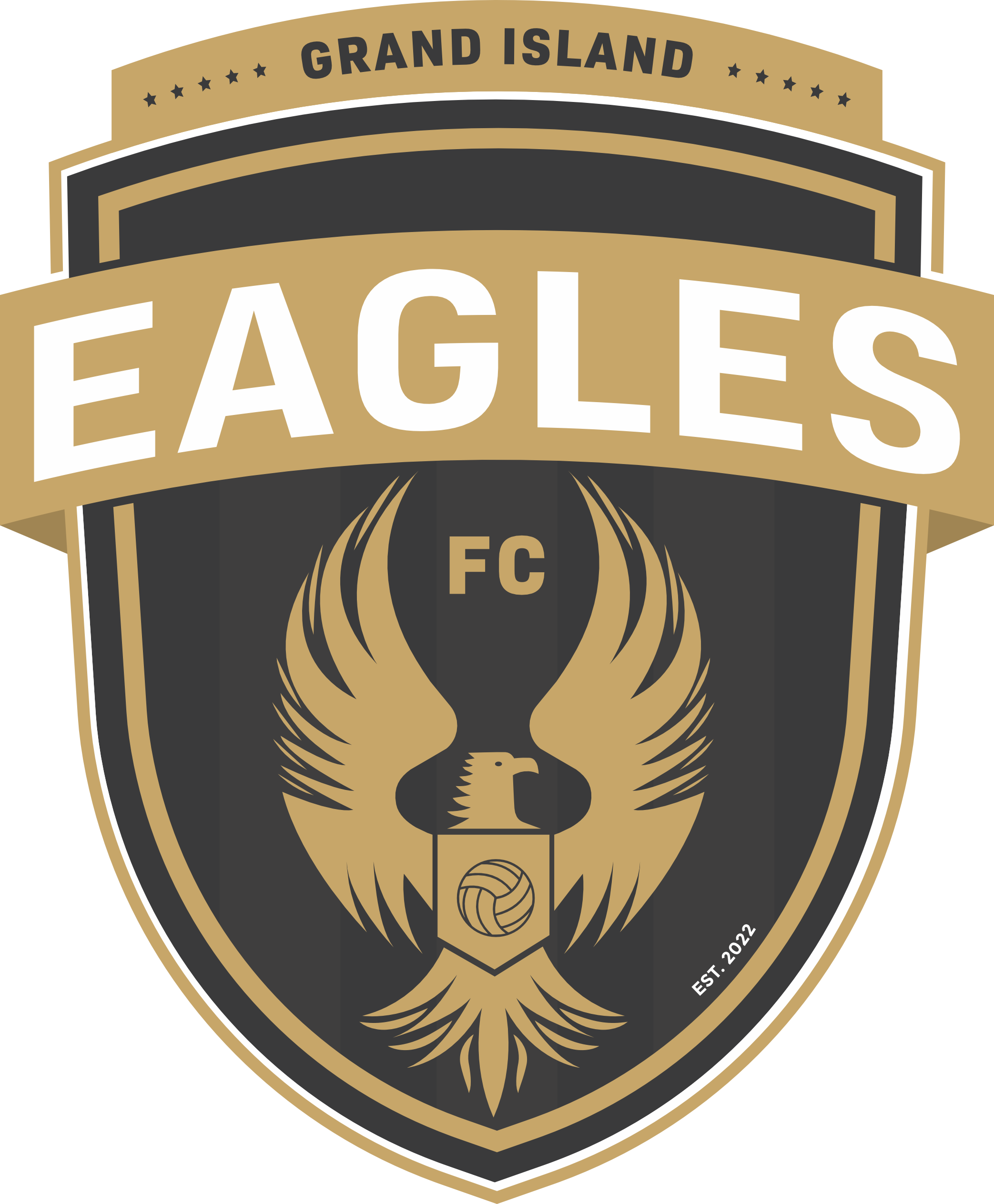 Eagles  FC U13 GOLD Logo