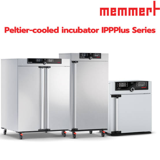 Memmert IPPPlus Series