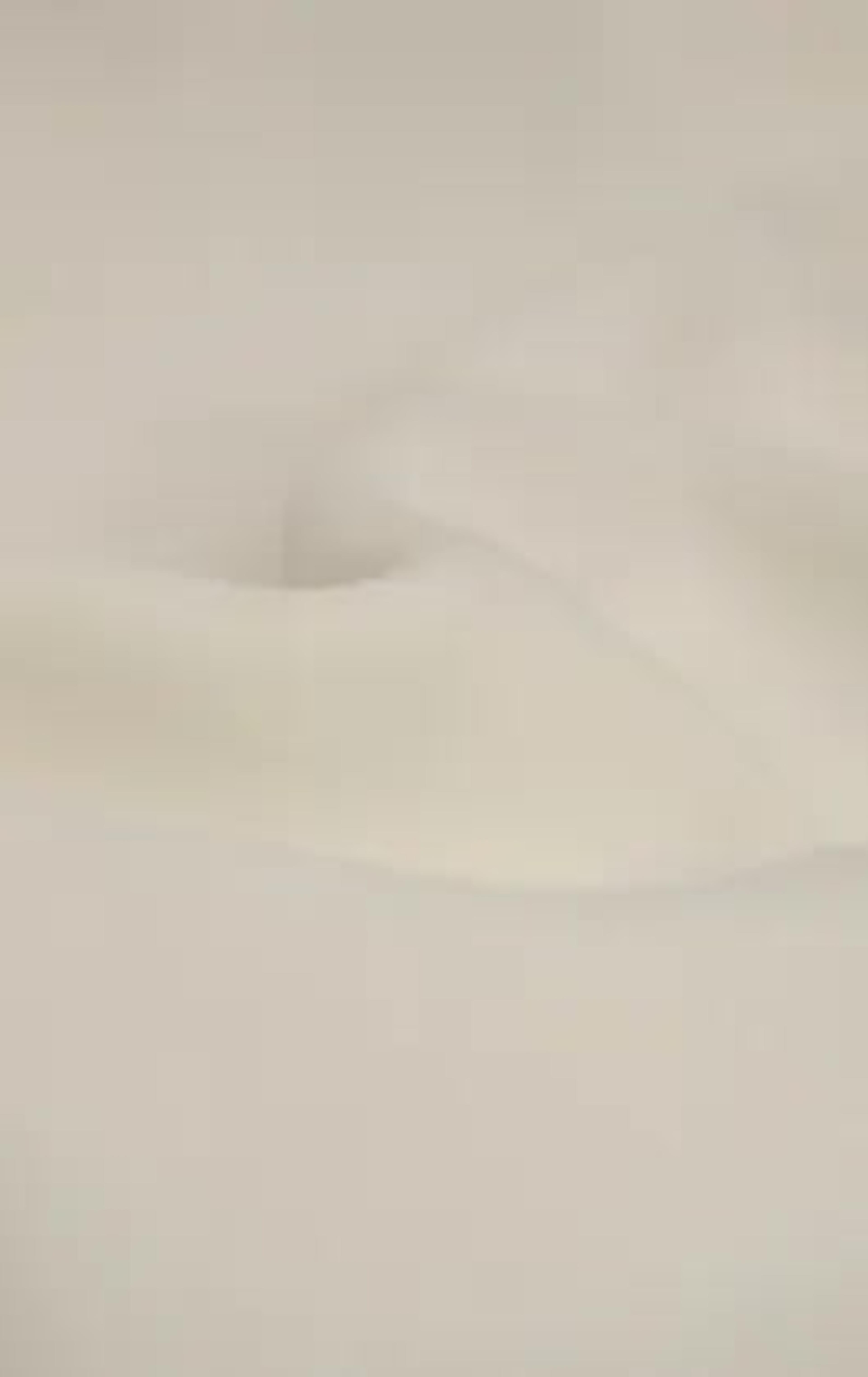 White Peak Lapel Slim Fit Tuxedo thumbnail 9