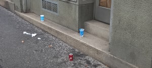 20230805_105247_mppvlj