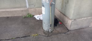 20230809_133714_hasmit