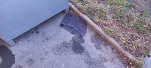20240130_165817_rigys8