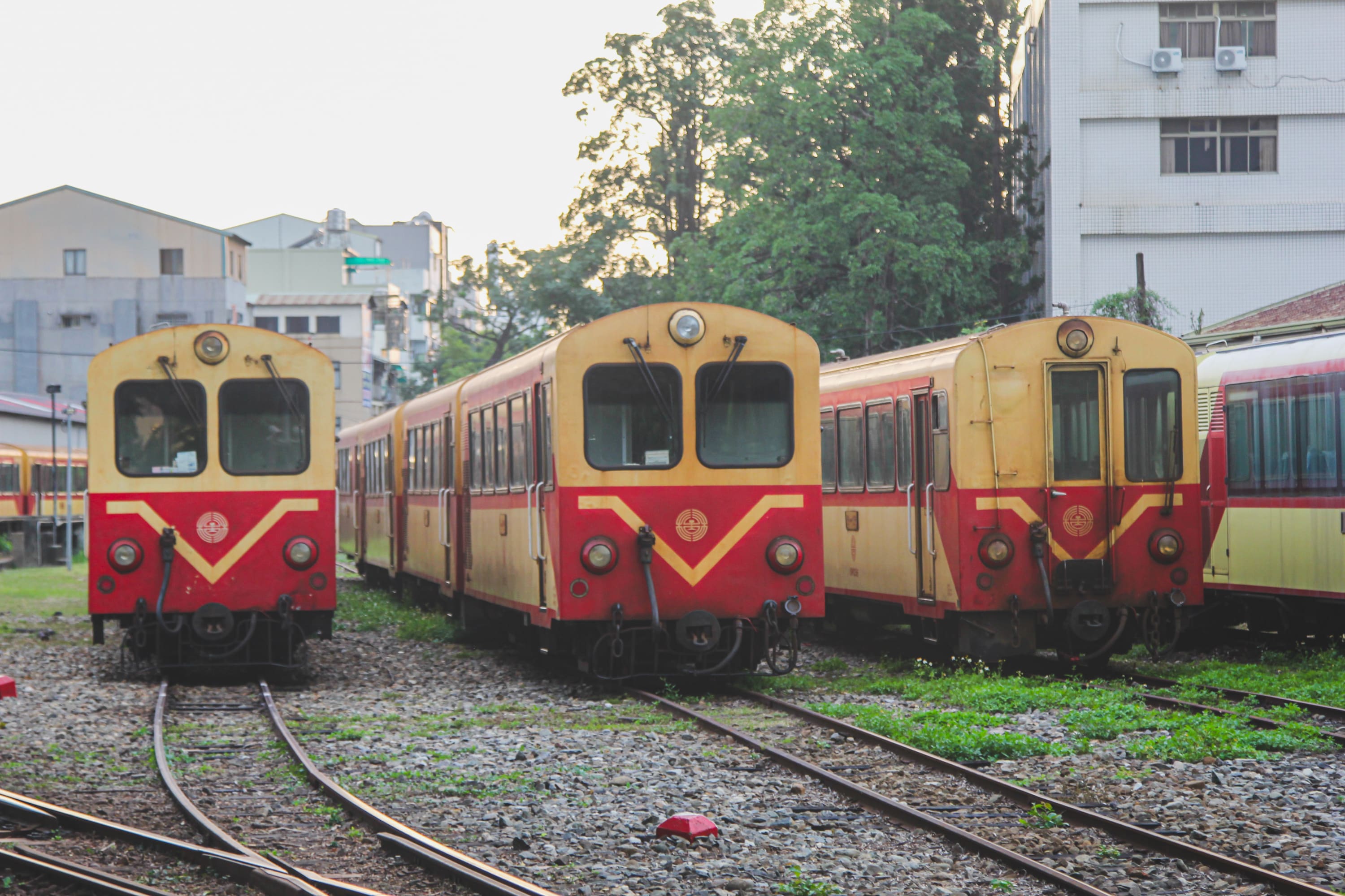Three yellow and red trains are parked side by side on railway tracks in a train yard, with buildings and trees visible in the background—an inviting scene for anyone planning a Taiwan bike adventure or exploring popular Taiwan cycling routes.