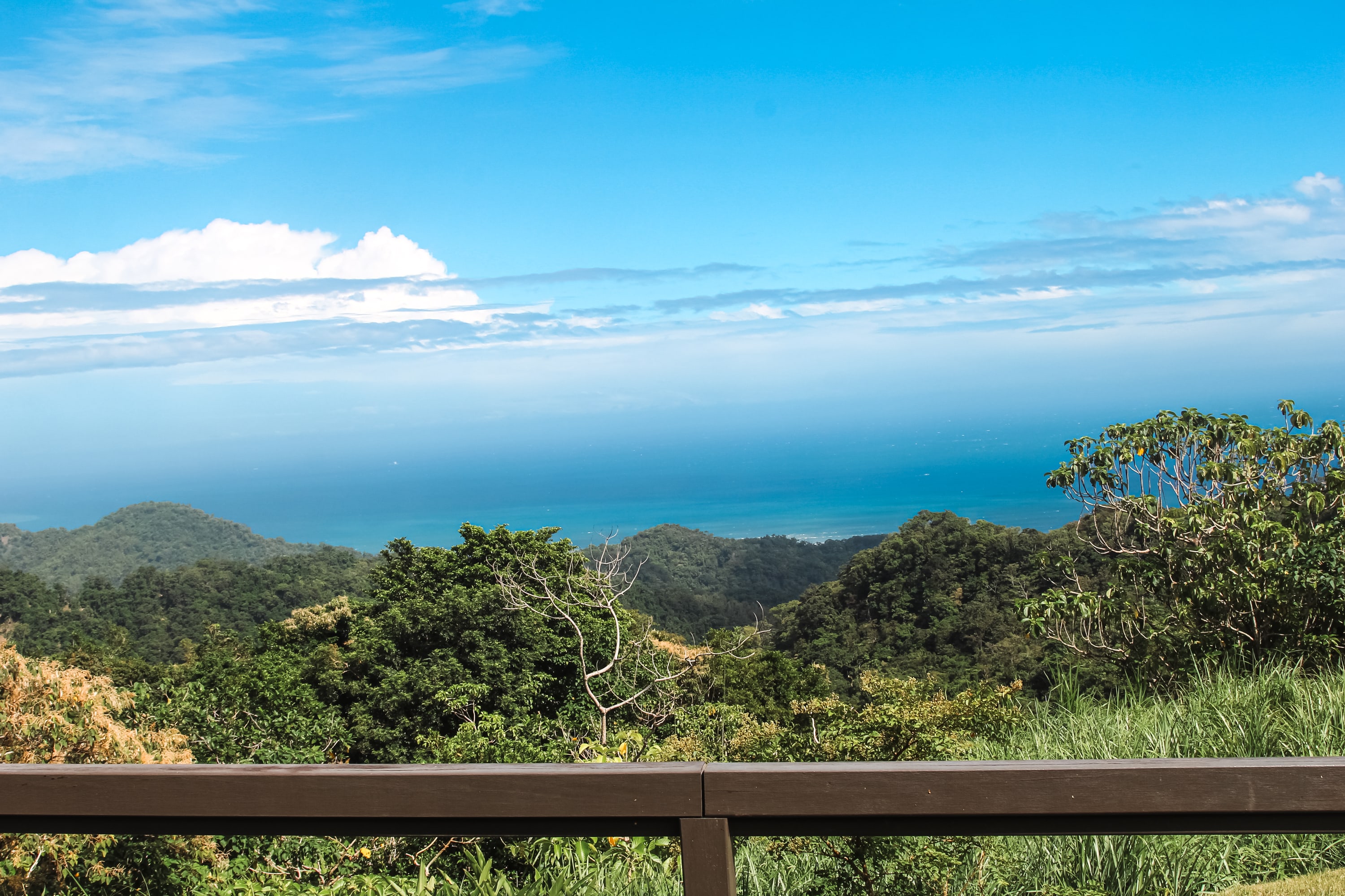 A scenic view from a wooden railing overlooking lush green hills, dense trees, and a distant blue ocean beneath a bright, partly cloudy sky—perfect inspiration for your next Taiwan bike adventure.