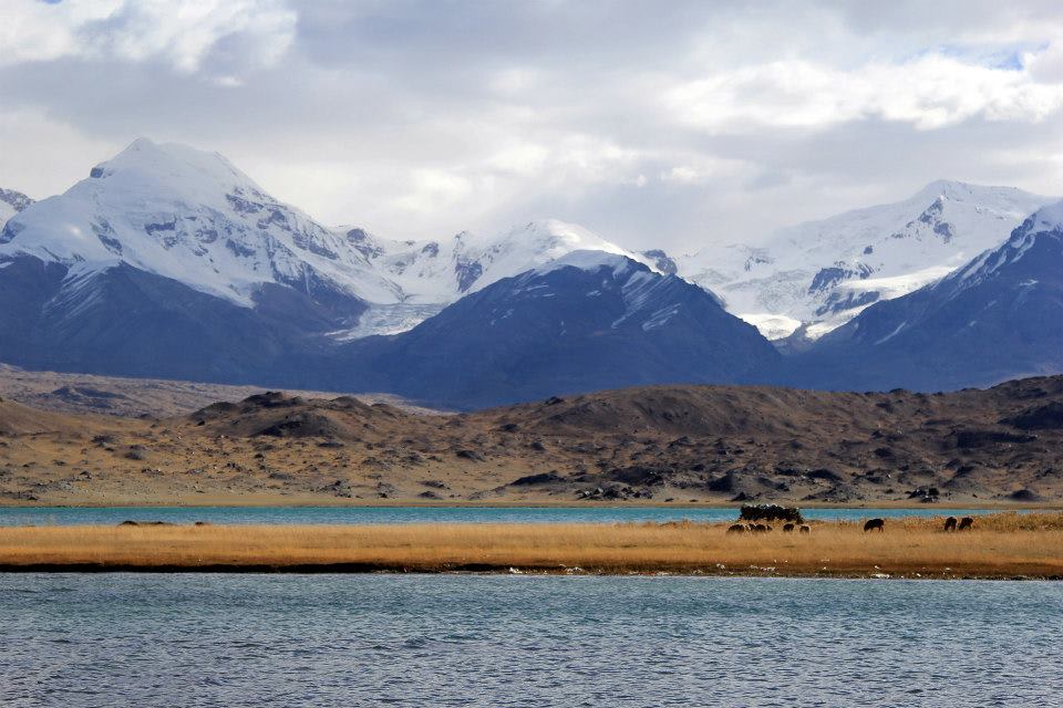 Mountain landscape with snow-covered peaks under a cloudy sky. In the foreground, a still blue lake bordered by grassy land with a small group of animals grazing. The serene scene reflects the breathtaking landscapes often seen in Xinjiang, capturing its tranquil beauty.