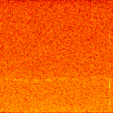 Distant Kiwi Call