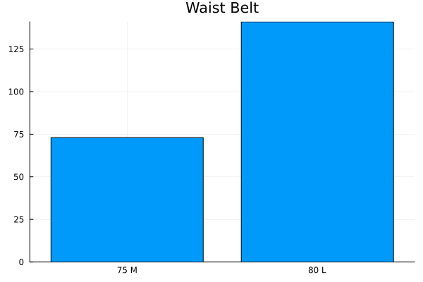 Waist Belt