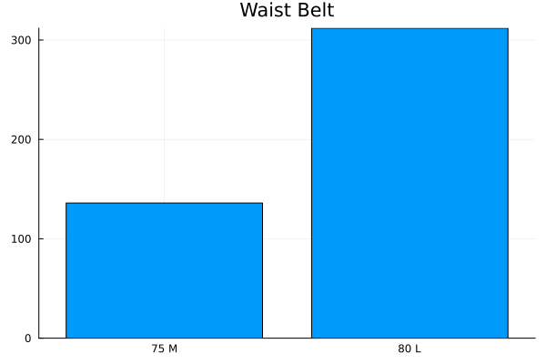Waist Belt