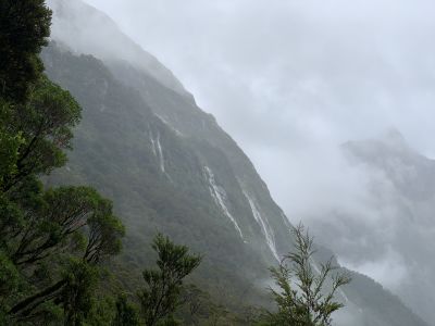 Milford Track