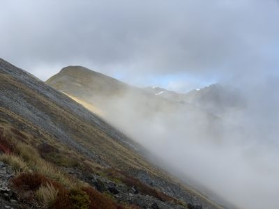 Kepler Track