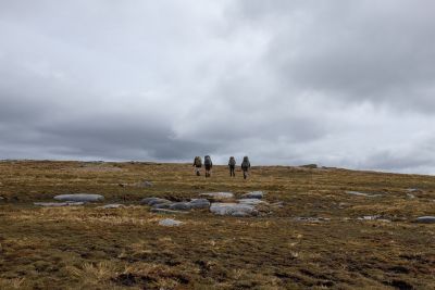 Tin Range
