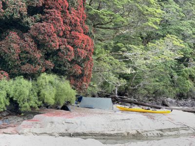 Rata Beach