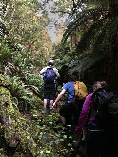 Limestone gully on the way to Lake Orbell