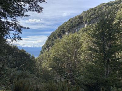 Flattening out near Lake Orbell