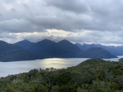Mamaku/Indian Island