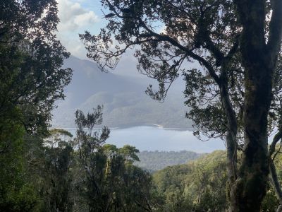 Hollyford