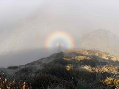 Broken Spectrum