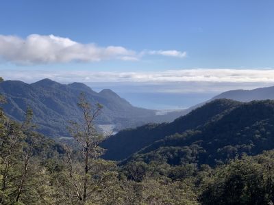 View from Tops